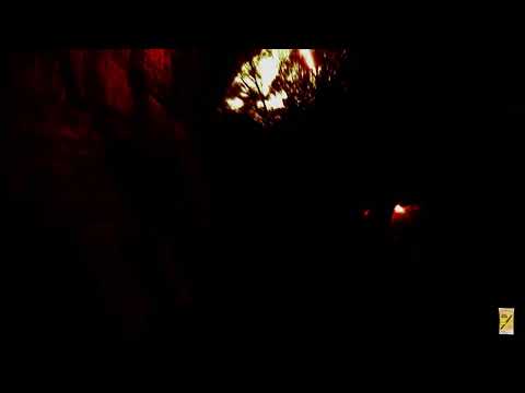 WILD POYO x Dolla Bill - Animocity (Official Video) Dir.@VRTUPRESENTS #CycleBreaker