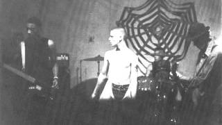 Fang - Americas Most Hated