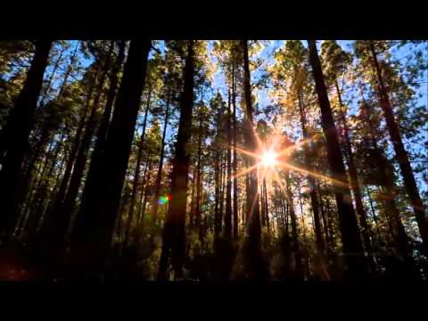 Tazzi - Život ( OFFICIAL VIDEO )