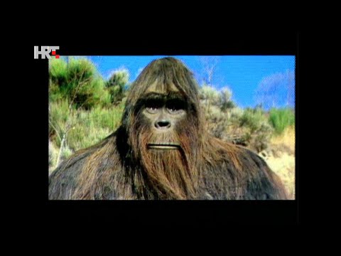 Na rubu znanosti: Dlakava rodbina