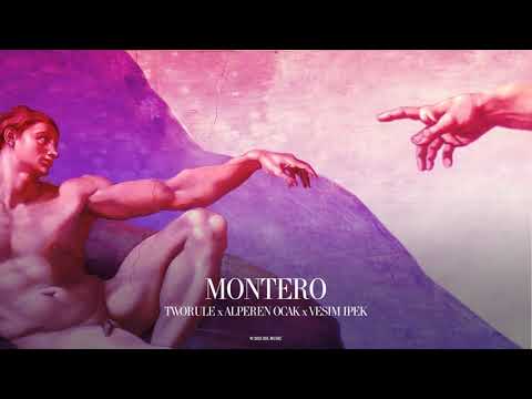 TwoRule, Alperen Ocak, Vesim Ipek - Montero (Call Me By Your Name) (Official Canvas Video)