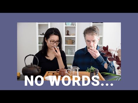 Yiwu Gu Shu Sheng Pu'er 2003 | Aged Vintage Puerh Tea Tasting | ZhenTea