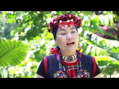歌謠篇 - 中排灣語 08ljalja 歡樂歌《傳唱篇》