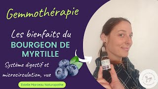 Le bourgeon de Myrtille= microcirculation, vue et protection digestive