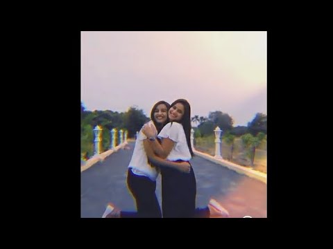 Tera Jo Rasta ❤ Cute Sister & Friends WhatsApp Status ❣ Love Status 💞 @KCSTATUS1807 #Shorts