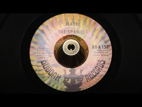 Spaniels - Maybe - BUDDAH: BDA 153