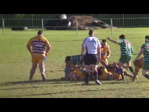 shamrocks v avondale - 1st Grade - Round 12