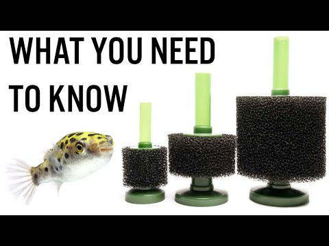 Vacuum Cleaner Filters + Sponge Filter ，Compatible For HOOVER T116 H-Free 100 Series Vacuum Cleaner Replacement Parts Accessories video review thumbnail