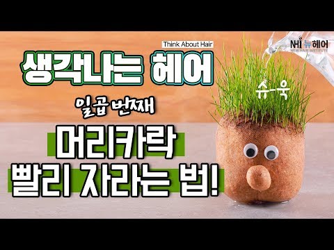 생각 나는 헤어 '머리카락 빨리 자라는 법' - 뉴헤어 I 모발이식 I 탈모지식 I