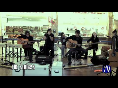 video frame placeholder