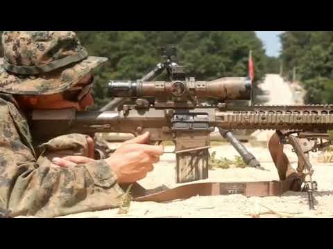 M110 SASS