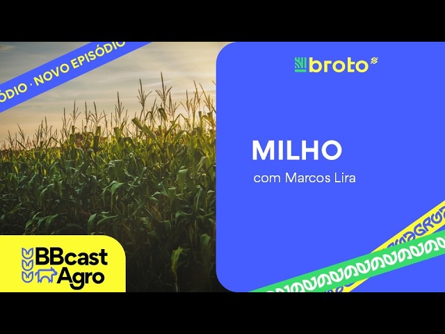 Milho: USDA reduz estoques, Europa preocupa e preços seguem firmes | BB Cast Agro - 14/08/2026