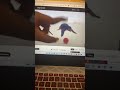 Funny Pingu With Motion Of Fingers