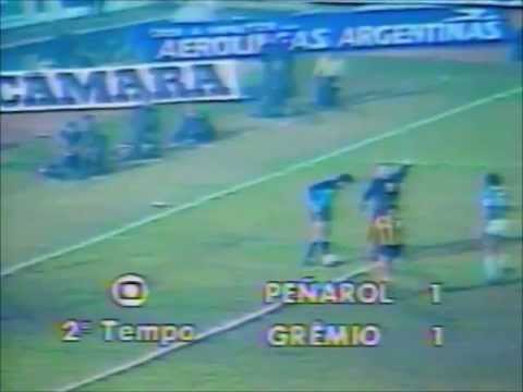resumo completo
