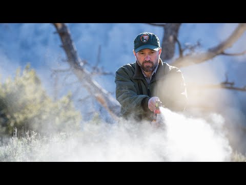 Short: How To Use Bear Spray
