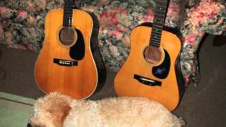 David Hopkins - "Better Man"