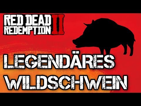 Red Dead Redemption 2 LEGENDÄRES Wildschwein