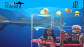 DIA 2 Expo Tiburon121