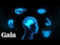 CREATING Beyond The ILLUSION Of Your Five Senses