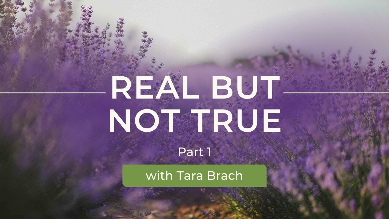 Real but not True (Part 1A) - Tara Brach