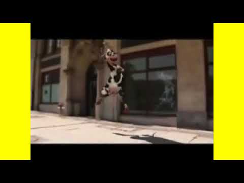 Nova Coreografia do Kit Kitchã