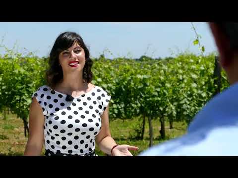 Ukusi i mirisi - Vinarija Tri međe i oblak - 17.06.2017.