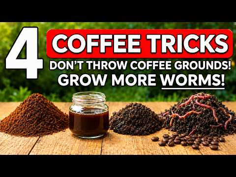 4 Secret Coffee Ground Tricks Most Gardeners Do Wrong (Science-Backed Results)