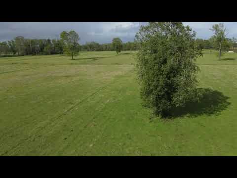 ¡Tu oportunidad de inversión en Paillaco, Región de Los Ríos!