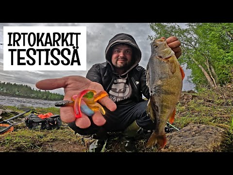 KARKIT VS JIGIT - KALASTETAAN IRTOKARKEILLA AHVENTA