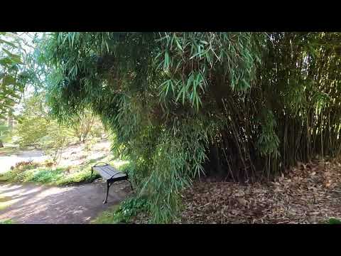 Gothenburg Botanical Garden Walk around a nice spring day