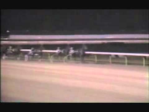 Breeders Crown 3Y Trot 1984 -Baltic Speed