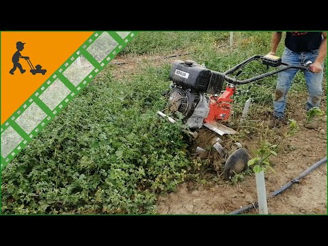 Motozappa pesante (12 HP) Diesse DS84 con motore Diesel Lombardini/Kohler KD15-440E536