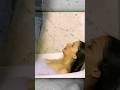 Wow What A Shot Bts Shorts Bathtub Girl
