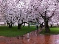 Secret Garden - First Day Of Spring