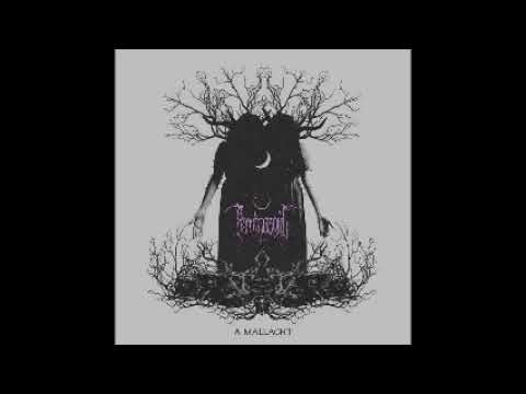 Feminazgûl - A Mallacht (Full Single)