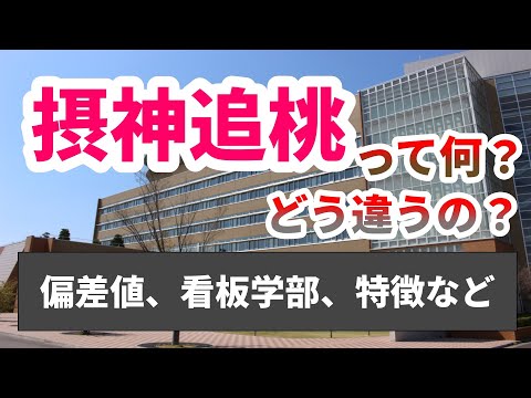 現代経済学科 摂神追桃の違い【ゆっくり大学受験】