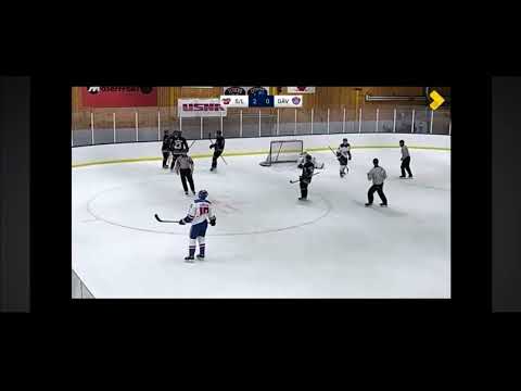 Colby Wolter highlight tape 2024/25 Söderhamn/Ljusne Sweden Div 2 
