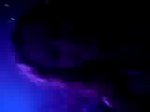 Flower Power 6-7-08 Pacha Ibiza