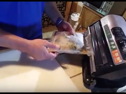 download lagu mp3 mp4 Vacuum Seal Soup, download lagu Vacuum Seal Soup gratis, unduh video klip Vacuum Seal Soup