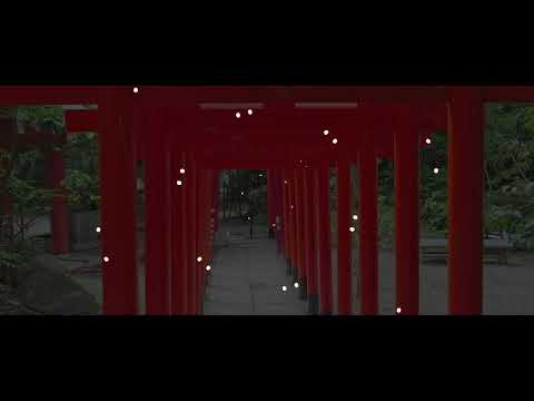 Tristan de Liège - Nara (Official Music Video)