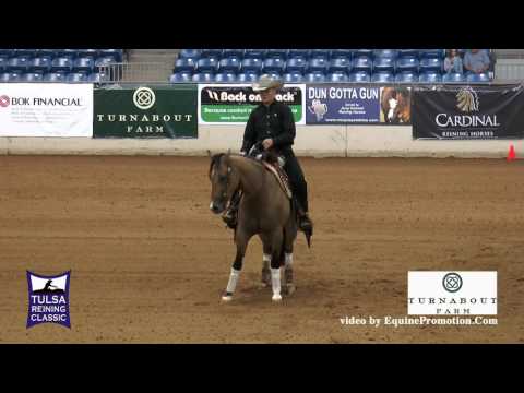 Gun Its Deja Vu ridden by Cade McCutcheon  - 2015 Tulsa Reining Classic (NP Futurity)