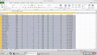 Copy/paste data from Excel® into Stata®