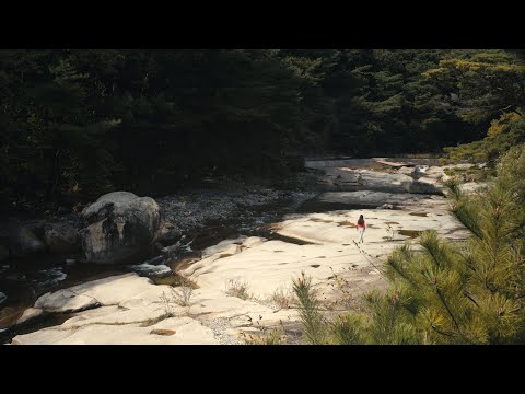 [서울독립영화제2025 로컬시네마3] 몽중몽