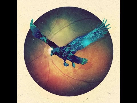 Petter Carlsen - Ekko (live with Ensemble Noor)