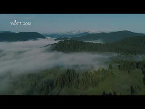 Monticola, North of Montenegro