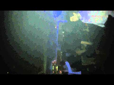 Dj Muela - Nochevieja Spacio 4