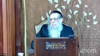 הרה"ג הרב וועכטר שליט"א כ"ט ניסן תשפ"ד - מאמר הרבי הריי"צ תש"ט ד"ה ונחה עליו רוח ה' חלק ב (הרב אברהם מנחם מענדל וכטר) - התמונה מוצגת ישירות מתוך אתר האינטרנט יוטיוב. זכויות היוצרים בתמונה שייכות ליוצרה. קישור קרדיט למקור התוכן נמצא בתוך דף הסרטון