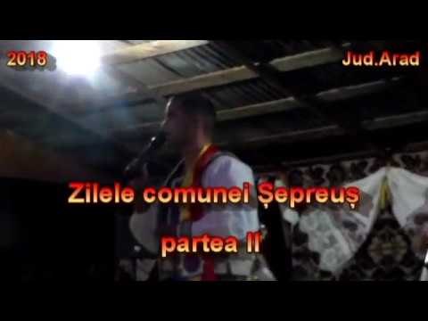 Zilele comunei Șepreuș  2018  B