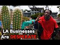 Businesses Use Plants To FIGHT Homeless Camps