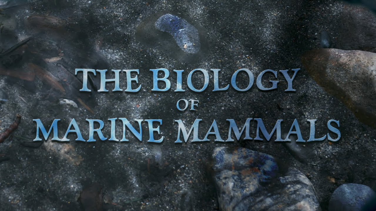 The Biology of Marine Mammals: Lecture 46 - Supplement 1